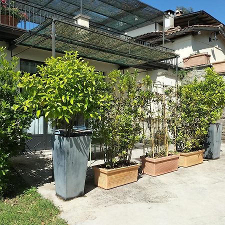 Villa Degli Ulivi Viterbo Exterior photo