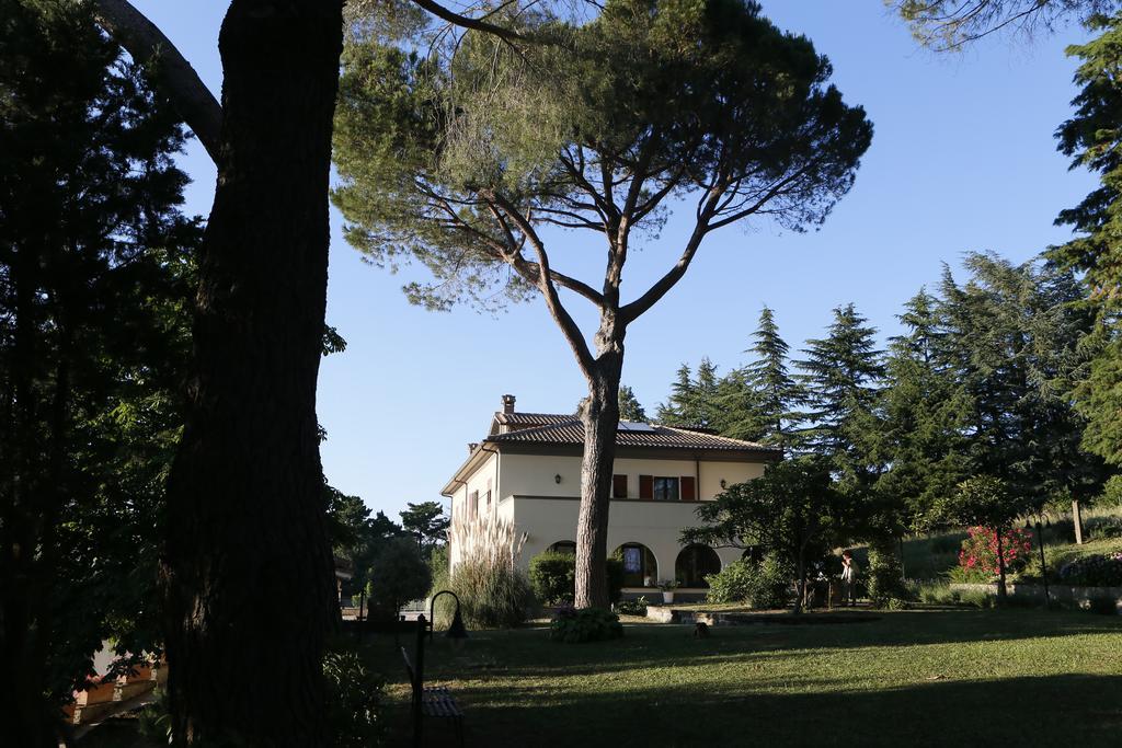 Villa Degli Ulivi Viterbo Exterior photo