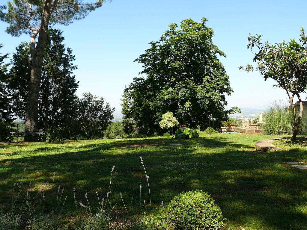 Villa Degli Ulivi Viterbo Room photo